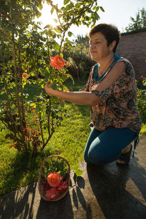 Middle-aged woman and a rose. The woman inhales the aroma of the rose at sunset. The rose shines at...