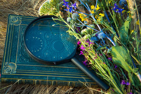 Summer time. A bouquet of flowers and dry grass. Next to the bouquet are objects that allow...