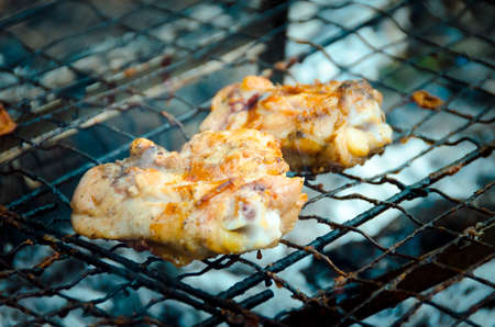 Picnic. Cooking food over an open fire. Grilled chicken drumsticks. Camping with closed borders. Due...