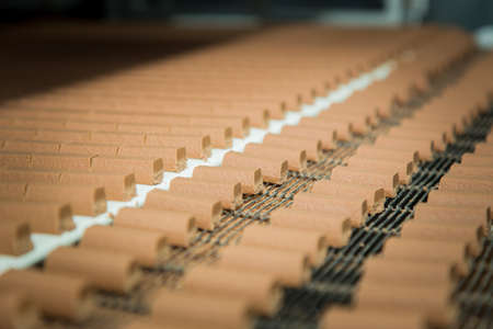 Sweets factory. Sweets production process. Conveyor belt with sweets on it.