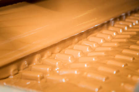 Sweets factory. Sweets production process. Conveyor belt with sweets on it.の写真素材