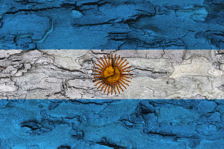 Argentina flag on texture background. Background for greeting cards for Argentina public holidays. Columbus Day, Flag Day, Gay Parade, Veterans Day, Independence Day, Oktoberfest, San Martin Day.の写真素材
