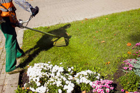Autumn work in the park. The gardener cuts the grass before winter.