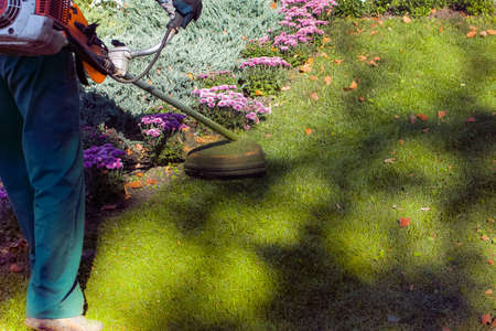 Autumn work in the park. The gardener cuts the grass before winter.