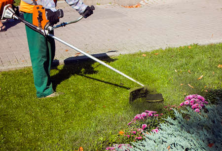 Autumn work in the park. The gardener cuts the grass before winter.