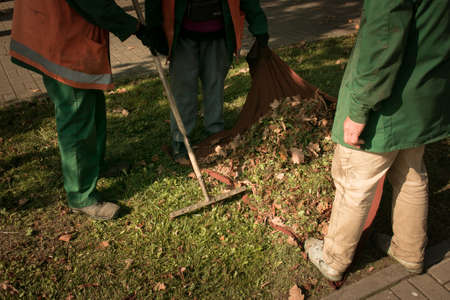 Autumn work in the park. Cleaning of fallen leaves. The workers collect leaves in heaps and prepare them for removal.の写真素材