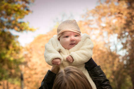 Fall. Newborn baby on a background of autumn yellow foliage. Mom's hands. Backlight shooting.の写真素材