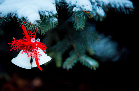 First snow. Christmas card. Christmas bells on a snow-covered branch of a juniper. Selective focus.の写真素材