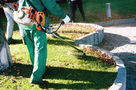 Autumn work in the park. The gardener cuts the grass before winter.