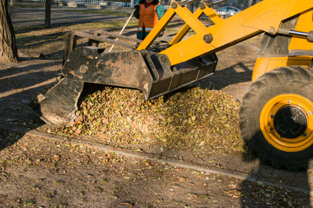 The municipal service is carrying out autumn works in the park. Cleaning fallen autumn leaves with...