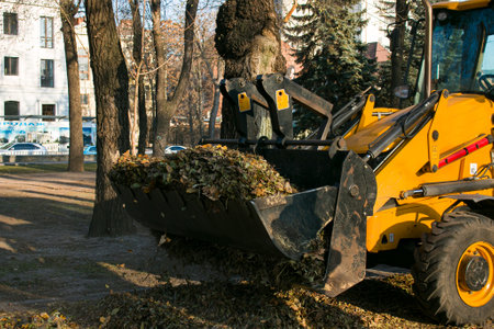 The municipal service is carrying out autumn works in the park. Cleaning fallen autumn leaves with...