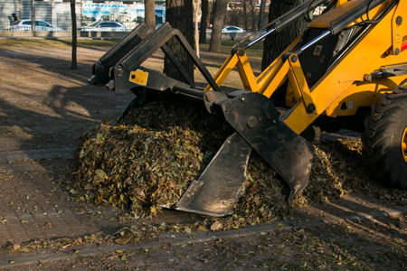 The municipal service is carrying out autumn works in the park. Cleaning fallen autumn leaves with an excavator and a truck in the city.の写真素材