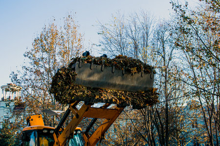 The municipal service is carrying out autumn works in the park. Loading of leaves and dry branches by a backhoe loader into the back of a car.の写真素材