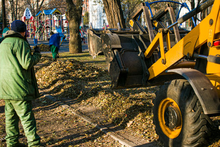 The municipal service is carrying out autumn works in the park. Workers collect fallen leaves with...