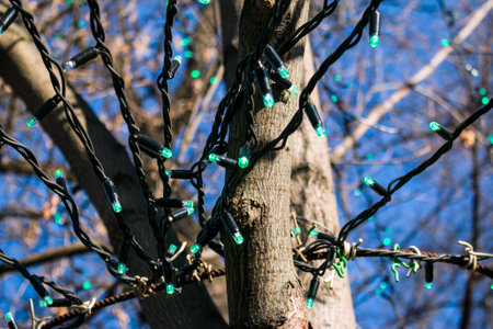 Municipal service decorate street lamp for celebration of Christmas and New Year. The tree branches are decorated with glowing Christmas garlands.の写真素材