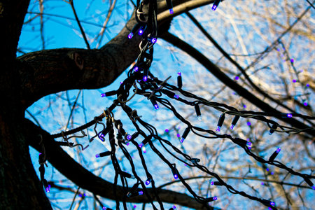 Municipal service decorate street lamp for celebration of Christmas and New Year. The tree branches are decorated with glowing Christmas garlands.の写真素材