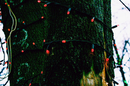 Municipal service decorate street lamp for celebration of Christmas and New Year. The tree branches are decorated with glowing Christmas garlands.の写真素材