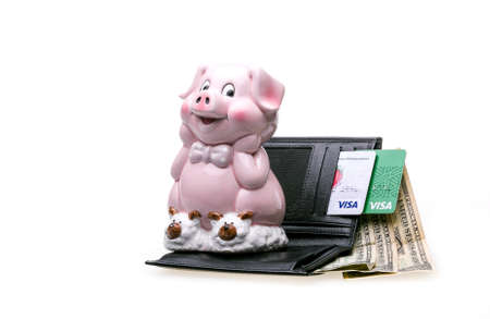 A pink piggy bank in the shape of a cute pig and a wallet with dollar bills. The composition is isolated on a white background.の写真素材
