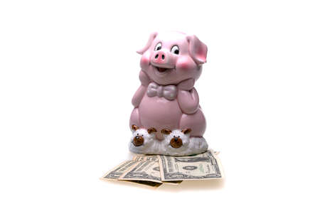 Pink piggy bank in the form of a cute pig and dollar bills. The composition is isolated on a white background.の写真素材