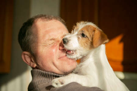 Dog jack russell terrier kisses and licks the owner. Animal love concept. The man and the dog are happy.の写真素材