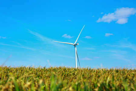 Wind turbines in a wheat field. Windmills are one of the alternative energy sources.