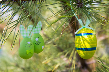 Easter egg on pine branches. Eggs for the festive table on the day of the liturgical holiday of the year. Easter is a Christian holiday dedicated to faith in the resurrection of Jesus Christ.の写真素材