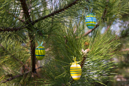 Easter egg on pine branches. Eggs for the festive table on the day of the liturgical holiday of the year. Easter is a Christian holiday dedicated to faith in the resurrection of Jesus Christ.の写真素材