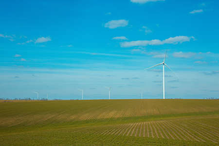 Wind turbines in a wheat field. Windmills are one of the alternative energy sources.