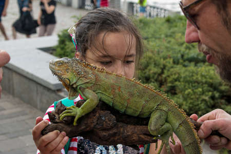 Dnepropetrovsk, Ukraine - 06.12.2021: A young girl holds a green iguana in her arms. Emotions of a child at the sight of a reptile.のeditorial素材