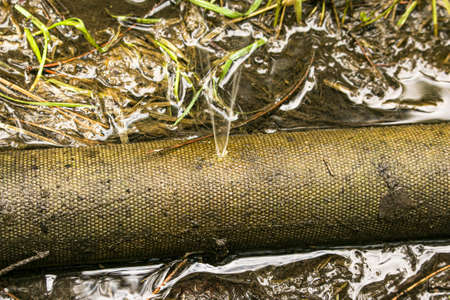 Leakage in the connection of the pipes for pumping water from the pond. A hole in a fire hose from which water flows under pressure.の写真素材