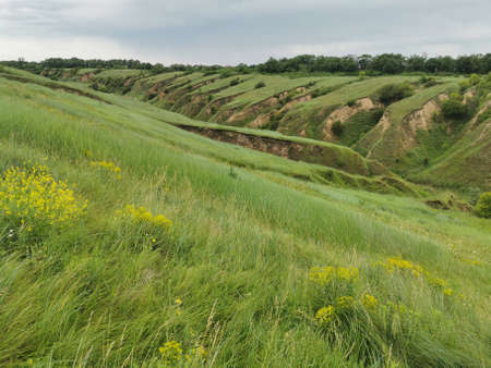 A deep clay ravine formed by erosion by a water stream. Soil erosion.
