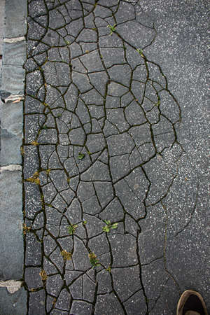 Old cracked asphalt surface. Background or texture.の写真素材
