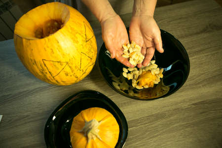 Halloween. Making Jack O'Lantern at home. Pumpkin preparation process. Women's hands take out seeds from a pumpkin.の写真素材