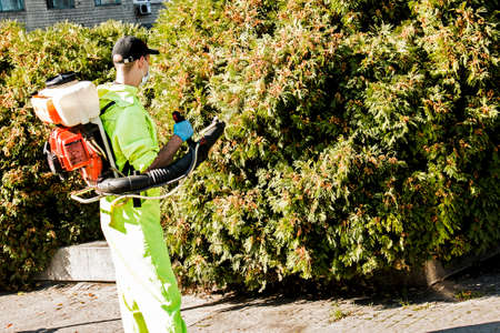 Dnepropetrovsk, Ukraine - 10.05.2021: An employee of the city municipal service sprays plants of the...