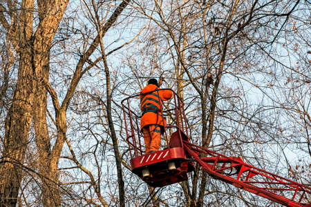 Municipal workers on a truck crane install and decorate trees in the city's parks with Christmas lights. High-altitude work.の写真素材