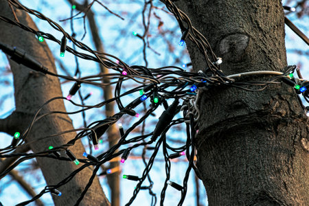 Preparing for the new year. Garlands with bulbs on the trees of the city streets.の写真素材