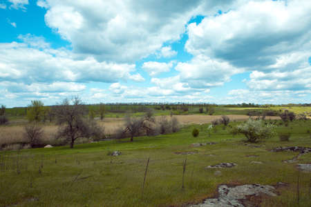 Old stones on a large green-yellow field against a fantastically beautiful blue sky. Landscape of...