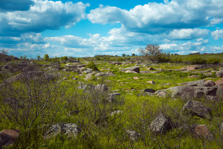 Old stones on a large green-yellow field against a fantastically beautiful blue sky. Landscape of the Ukrainian plain.の写真素材