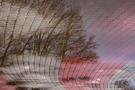 Reflection of tree branches in a puddle after rain. spring background.の写真素材
