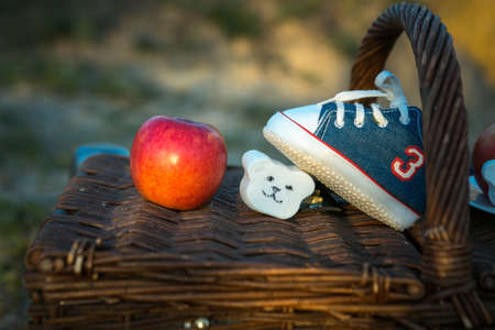 Still life on a wicker basket for outdoor recreation. An apple, a children's toy and a children's...