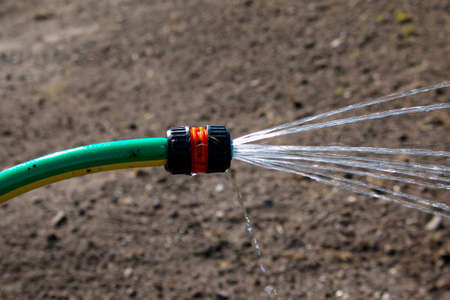 Hose for watering plants in the garden. A powerful jet, a stream of clean water, drops aimed at...