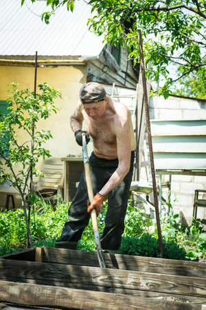 A man of mature years makes high beds on a personal plot. The master pours fertile soil with a shovel into the wooden frame of the beds.の写真素材
