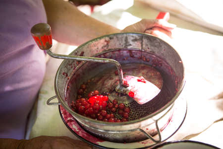 Woman prepares jam of the raw red currants, female makes marmalade for dishes, healthy eating and cooking conceptの写真素材