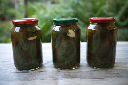 The process of canning pickled gherkins for the winter, pickles cucumbers in glass jars close-up.の写真素材