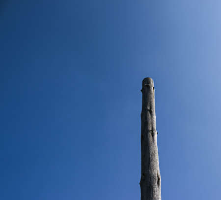 An old wooden pole used for a power line in the 20th century against a blue sky.
