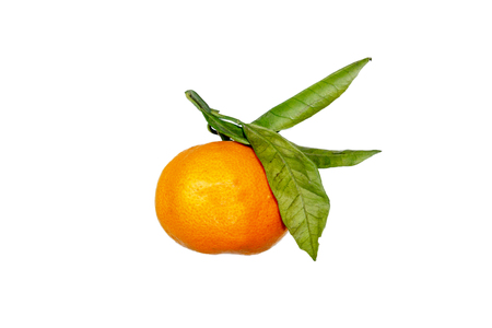 Mandarin with green leaves on a white backgroundの写真素材