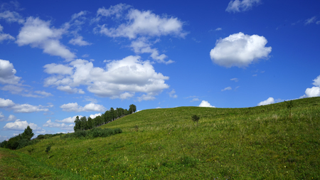 Siberia steppes in the summerの写真素材