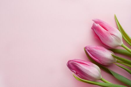 Bouquet of pink spring tulips and place for text for Mother's Day or Women on a pink background. Top view flat style.

の写真素材