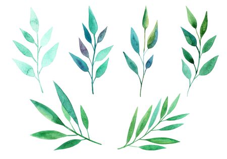 Set of green leaves. Watercolor illustrations. Collection for cards, patterns, flowers compositions, frames, wedding cards and invitations.	の写真素材