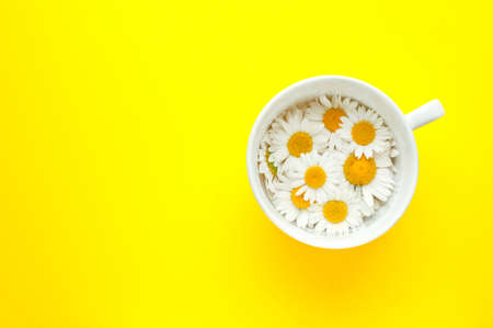 Cup of tea with chamomile flowers on a yellow background. Copy space, top viewの写真素材